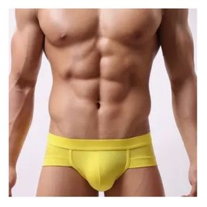 Secret Pouch Men’s Handsome Underwear Low Rise Brief Lemon Yellow (32)